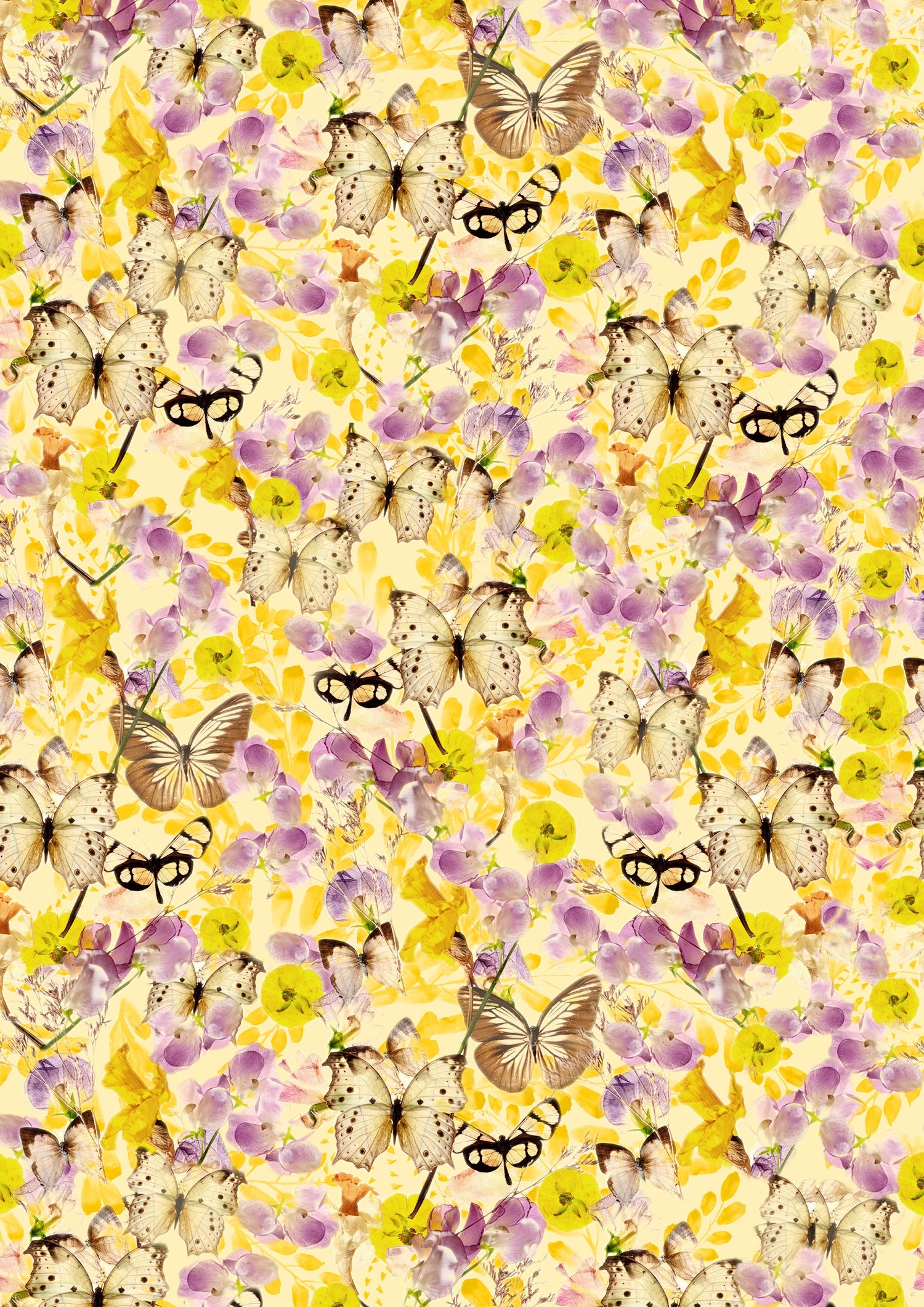Les papillons