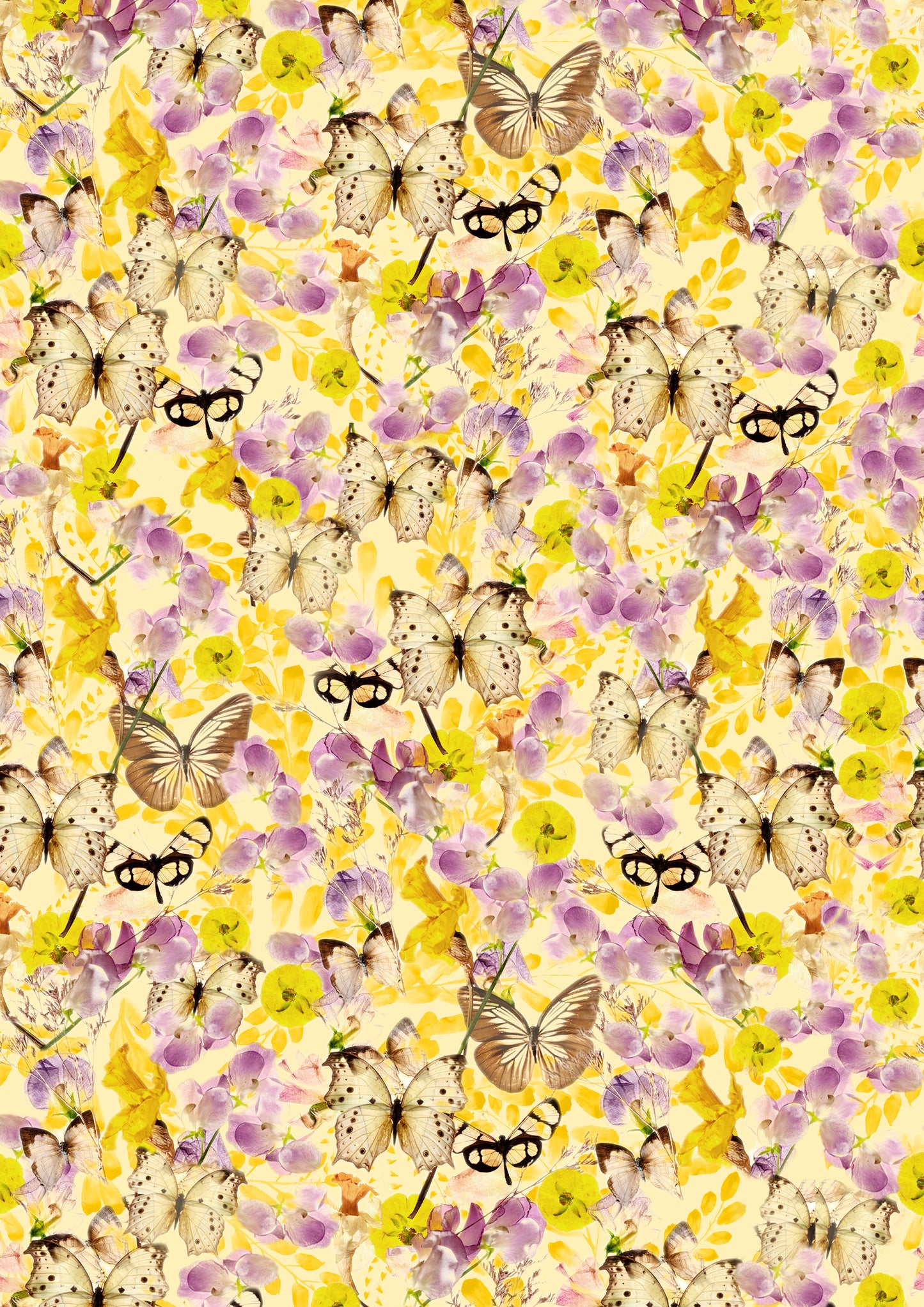 Les papillons