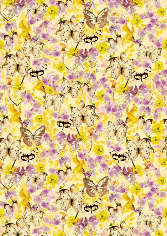 Les papillons